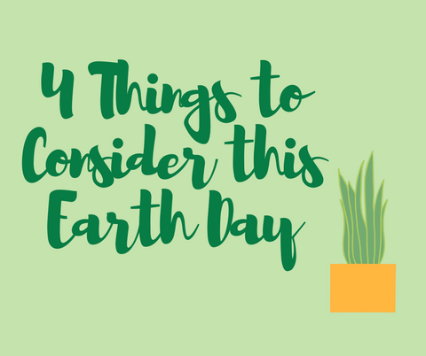 4 Things to Consider This Earth Day